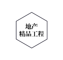 騰飛地產(chǎn)精品工程