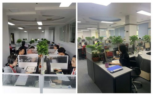 成都市成華區府青路街道第七次全國人口普查咨詢熱線服務開通